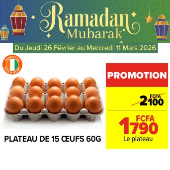 Plan de travail 11@300x-100