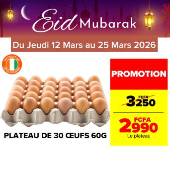 Plan de travail 11@300x-100