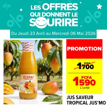 Plan de travail 11@300x-100