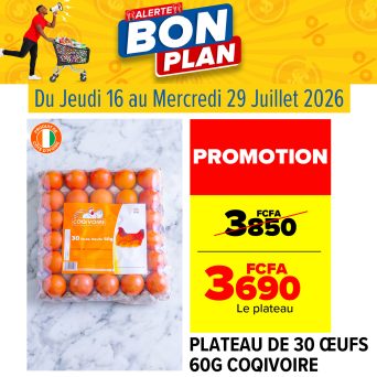 Plan de travail 14@300x-100