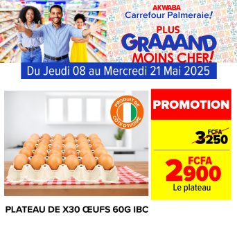 Plan de travail 15