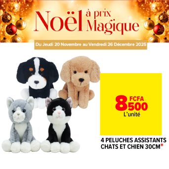 Plan de travail 15@300x-100