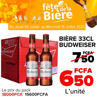 Plan de travail 1@300x-100