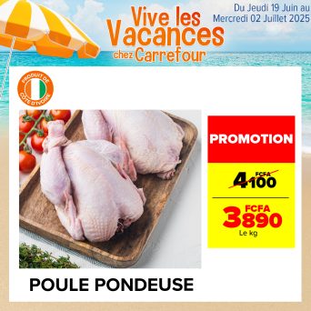 Plan de travail 2@300x-100