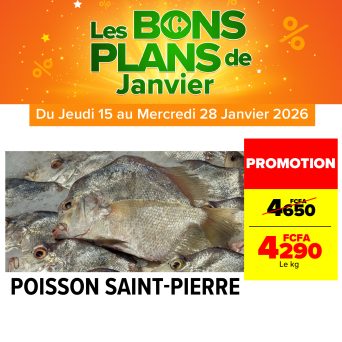 Plan de travail 2@300x-100