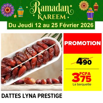 Plan de travail 2@300x-100