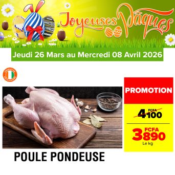 Plan de travail 2@300x-100