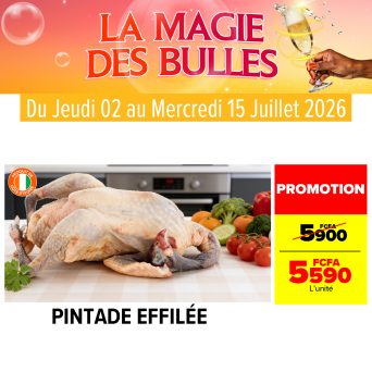 Plan de travail 2@300x-100