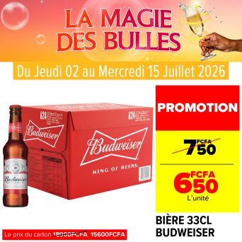 Plan de travail 30@300x-100