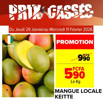 Plan de travail 3@300x-100