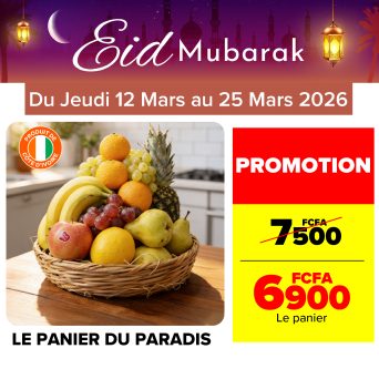 Plan de travail 3@300x-100