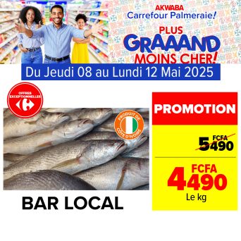Plan de travail 7