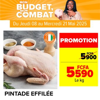 Plan de travail 7