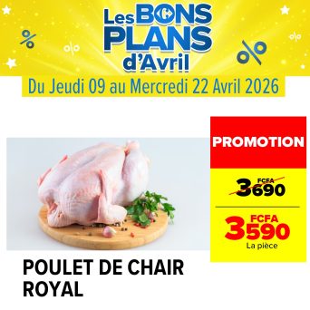 WhatsApp Image 2026-04-10 at 09.54.39