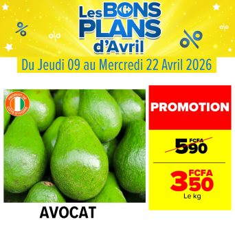 WhatsApp Image 2026-04-10 at 09.54.40